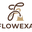 Flowexa logo